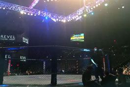 Curtinhas-UFC-de-quarta-feira-registra-menor-publico-dos-eventos-de-2014