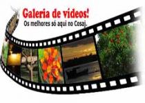 Galeria-de-Videos